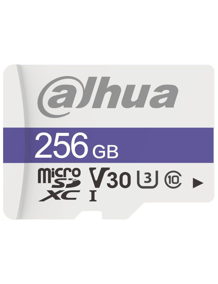 Karta pamięci 256GB DAHUA TF-C100/256GB